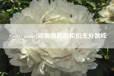 临海河南消防学校招生分数线