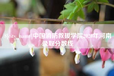 临海中国消防救援学院2020年河南录取分数线