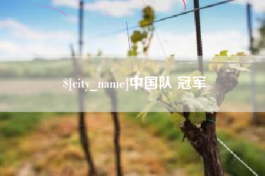 临海中国队 冠军