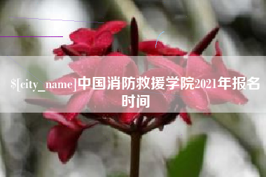 临海中国消防救援学院2021年报名时间