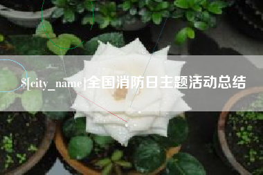 临海全国消防日主题活动总结