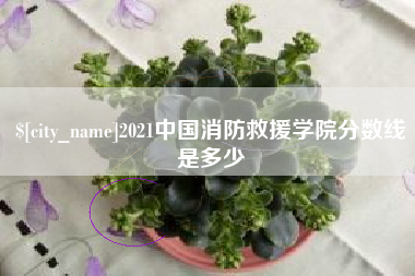 临海2021中国消防救援学院分数线是多少