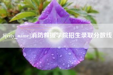 临海消防救援学院招生录取分数线