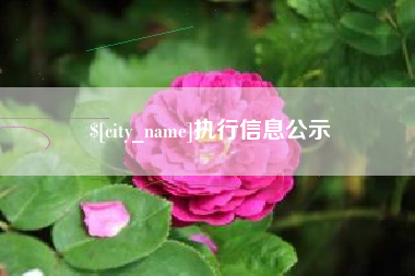 临海执行信息公示