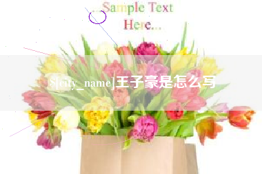 临海王子豪是怎么写