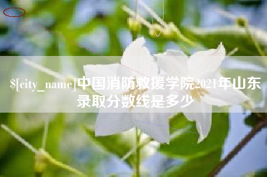 临海中国消防救援学院2021年山东录取分数线是多少