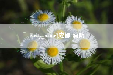 临海成都 消防