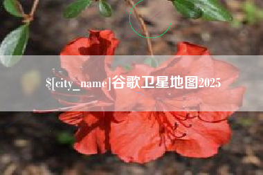 临海谷歌卫星地图2025