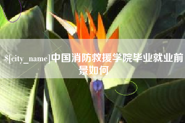 临海中国消防救援学院毕业就业前景如何