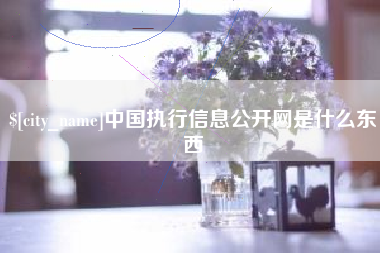 临海中国执行信息公开网是什么东西