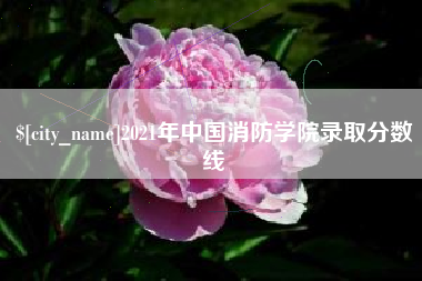 临海2021年中国消防学院录取分数线