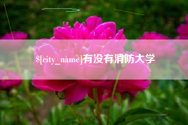 临海有没有消防大学