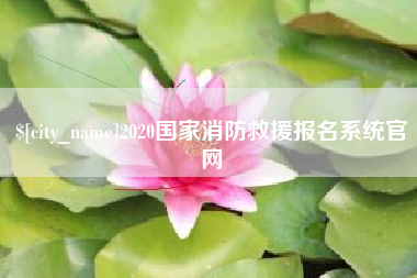 临海2020国家消防救援报名系统官网