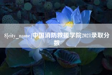 临海中国消防救援学院2021录取分数