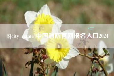 临海中国消防官网报名入口2024