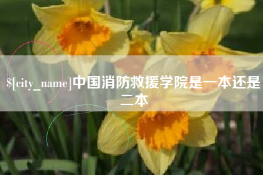 临海中国消防救援学院是一本还是二本