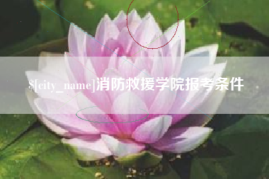 临海消防救援学院报考条件