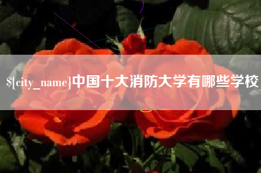 临海中国十大消防大学有哪些学校