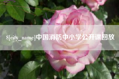 临海中国消防中小学公开课回放