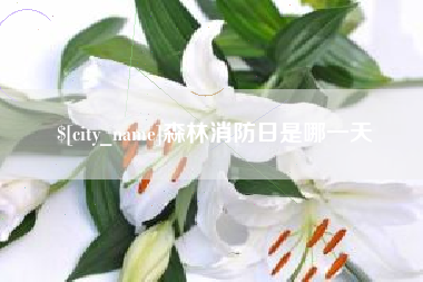 临海森林消防日是哪一天