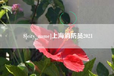 临海上海消防员2021