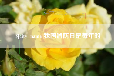 临海我国消防日是每年的