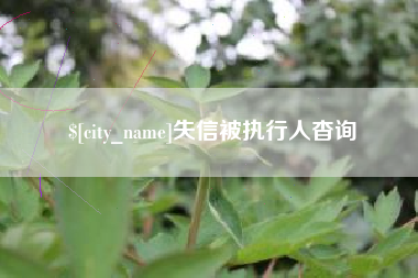 临海失信被执行人杳询