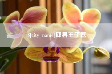 临海邱县王子磊