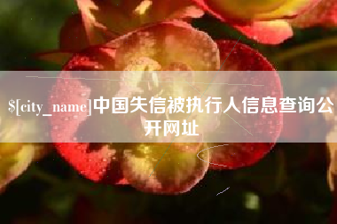 临海中国失信被执行人信息查询公开网址