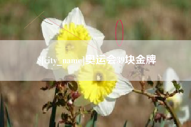 临海奥运会39块金牌