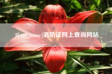 临海消防证网上查询网站
