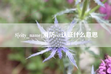 临海消防ccc认证什么意思