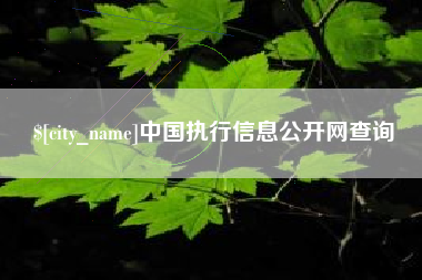 临海中国执行信息公开网查询