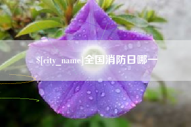 临海全国消防日哪一