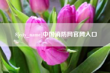 临海中国消防网官网入口