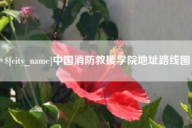 临海中国消防救援学院地址路线图