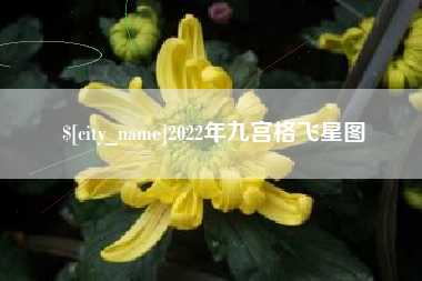 临海2022年九宫格飞星图