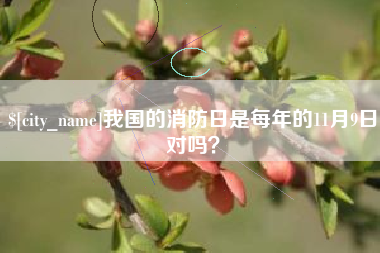 临海我国的消防日是每年的11月9日对吗？