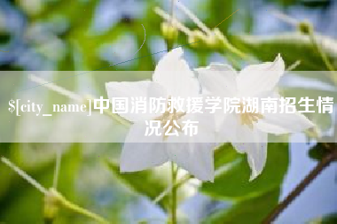 临海中国消防救援学院湖南招生情况公布