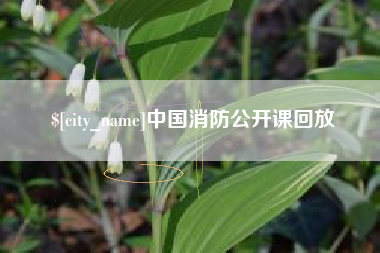 临海中国消防公开课回放