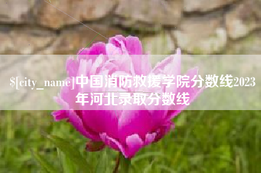 临海中国消防救援学院分数线2023年河北录取分数线