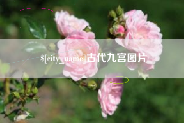 临海古代九宫图片