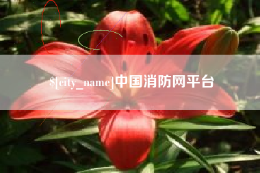 临海中国消防网平台