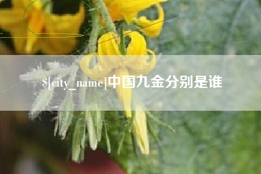 临海中国九金分别是谁