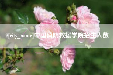 临海中国消防救援学院招生人数