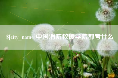 临海中国消防救援学院都考什么
