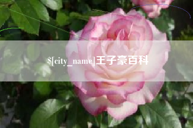 临海王子豪百科