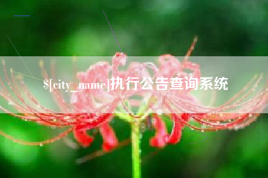 临海执行公告查询系统