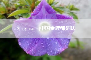 临海中国金牌都是啥