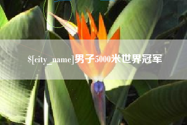 临海男子5000米世界冠军